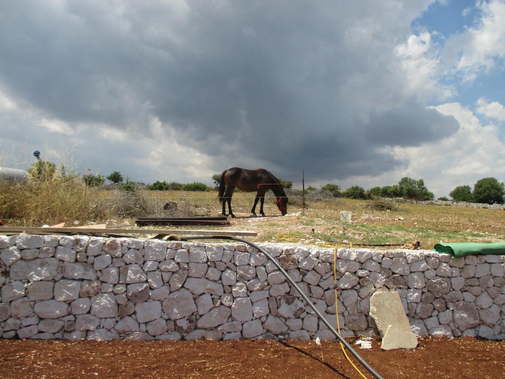Le Mangiatoie Del Re Giordano Βίλα Avola Εξωτερικό φωτογραφία